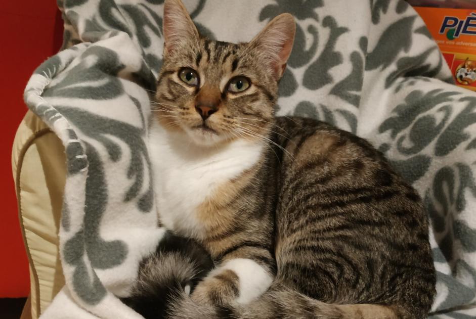 chat sexe tarn et garonne